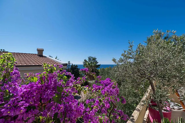 Villa with 3 Separate Apartments – Ideal Investment Opportunity for a Mini-Hotel — photo 21